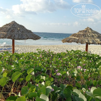 фото из отзыва ID 2655574