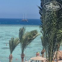 фото из отзыва ID 2655602