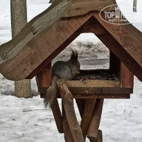 фото из отзыва ID 2655805