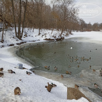 фото из отзыва ID 2655805