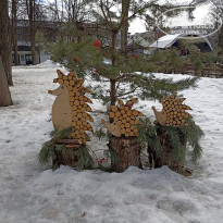 фото из отзыва ID 2655805