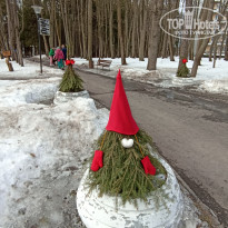 фото из отзыва ID 2655805