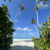 фото из отзыва ID 2655812