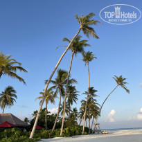 фото из отзыва ID 2655812