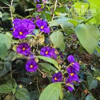 фото из отзыва ID 2655859