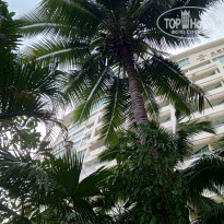 фото из отзыва ID 2655871