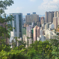 фото из отзыва ID 2655881