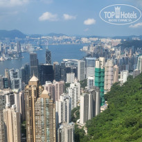 фото из отзыва ID 2655881