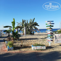 фото из отзыва ID 2655946