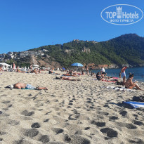 фото из отзыва ID 2655946