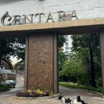 фото из отзыва ID 2655949