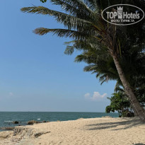 фото из отзыва ID 2655949