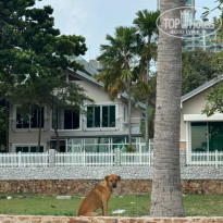 фото из отзыва ID 2655949