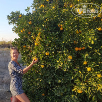 фото из отзыва ID 2655962