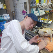 фото из отзыва ID 2655962