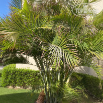 фото из отзыва ID 2655972