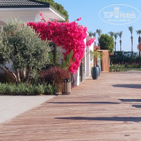 фото из отзыва ID 2655970