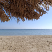 фото из отзыва ID 2655978