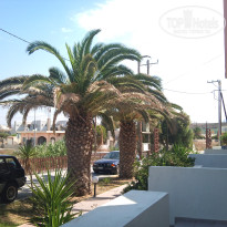 фото из отзыва ID 2655985