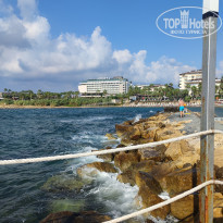 фото из отзыва ID 2656027