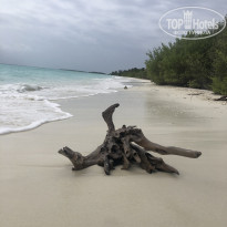 фото из отзыва ID 2656032