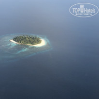 фото из отзыва ID 2656032