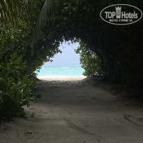 фото из отзыва ID 2656032