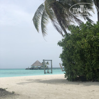 фото из отзыва ID 2656032