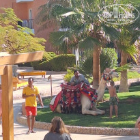 фото из отзыва ID 2656035