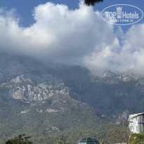 фото из отзыва ID 2656047