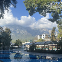 фото из отзыва ID 2656047