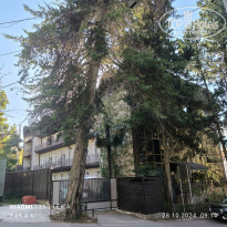 фото из отзыва ID 2656067