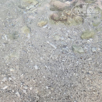 фото из отзыва ID 2656098