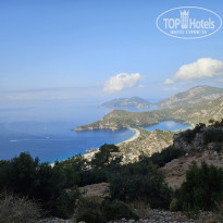 фото из отзыва ID 2656098