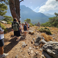 фото из отзыва ID 2656098