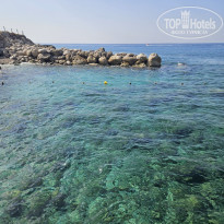 фото из отзыва ID 2656098