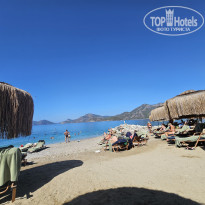 фото из отзыва ID 2656098