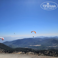 фото из отзыва ID 2656098