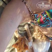 фото из отзыва ID 2656098