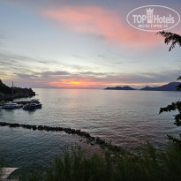 фото из отзыва ID 2656098