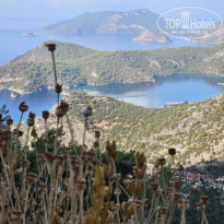 фото из отзыва ID 2656098