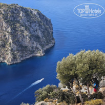 фото из отзыва ID 2656098