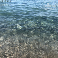 фото из отзыва ID 2656143