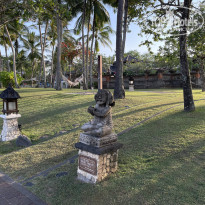 фото из отзыва ID 2656085