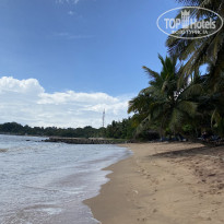 фото из отзыва ID 2656215