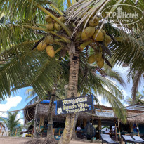 фото из отзыва ID 2656215