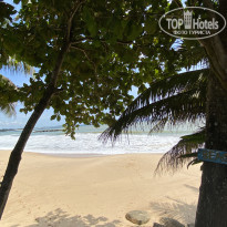 фото из отзыва ID 2656215