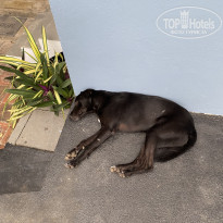 фото из отзыва ID 2656215