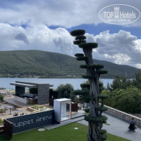 фото из отзыва ID 2653171