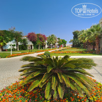 фото из отзыва ID 2655792